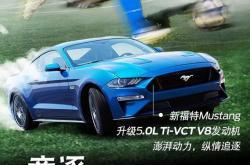 九游游戏-激战之余探寻胜者之秘，全球豪强齐聚一堂！的简单介绍