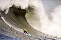 九游VIP-（扩展后）