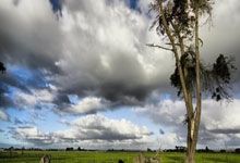 九游APP-波兰队鏖战葡萄牙队，马龙状态火热的简单介绍