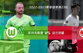 汉堡SV迎来沃尔夫斯堡的挑战，实力对比的简单介绍