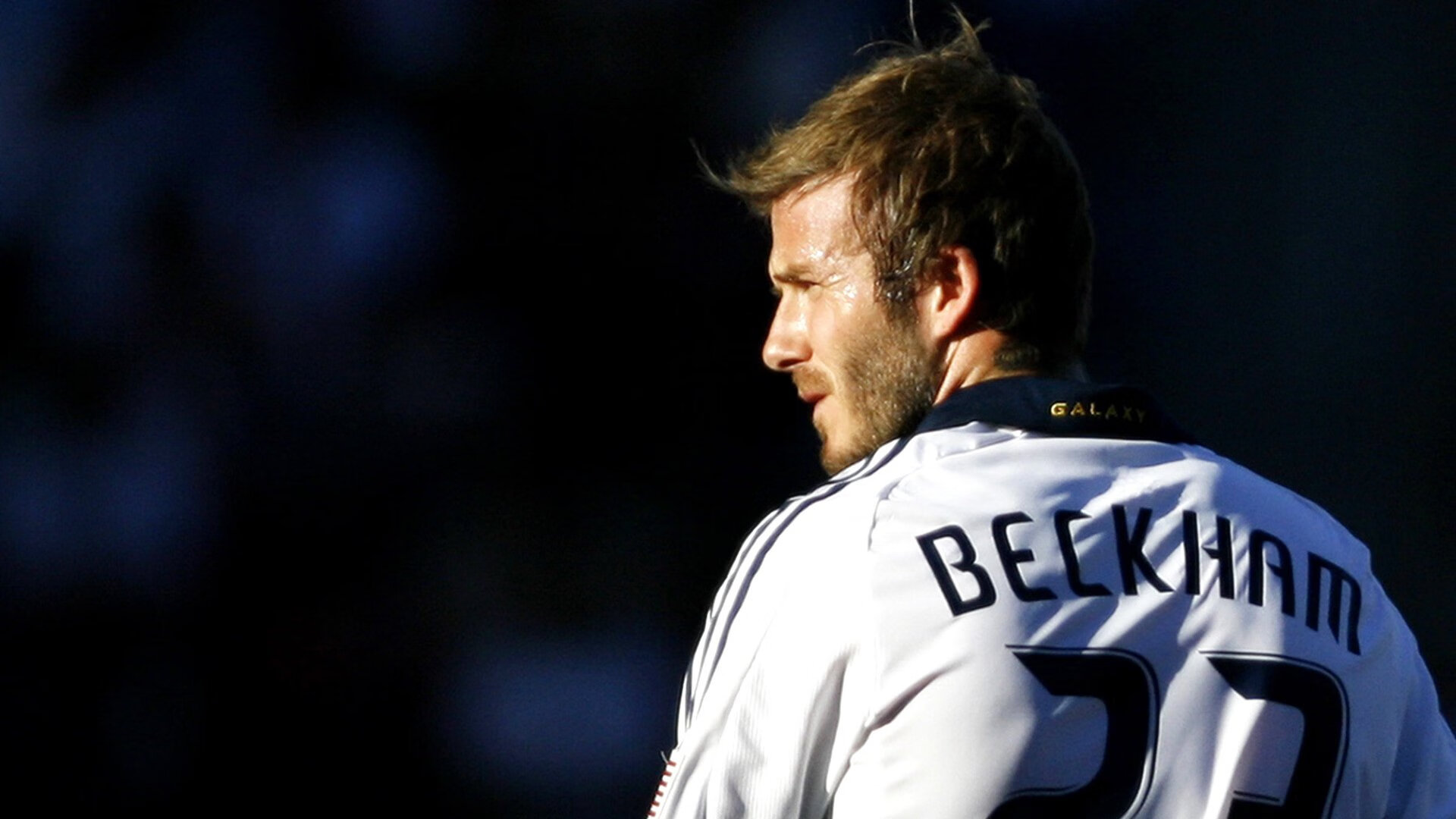 两个版本供选择）